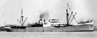 Steamer Nervier